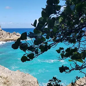 https://cocktail-caraibes-residence-de-tourisme-meublee.comcaribbean.com