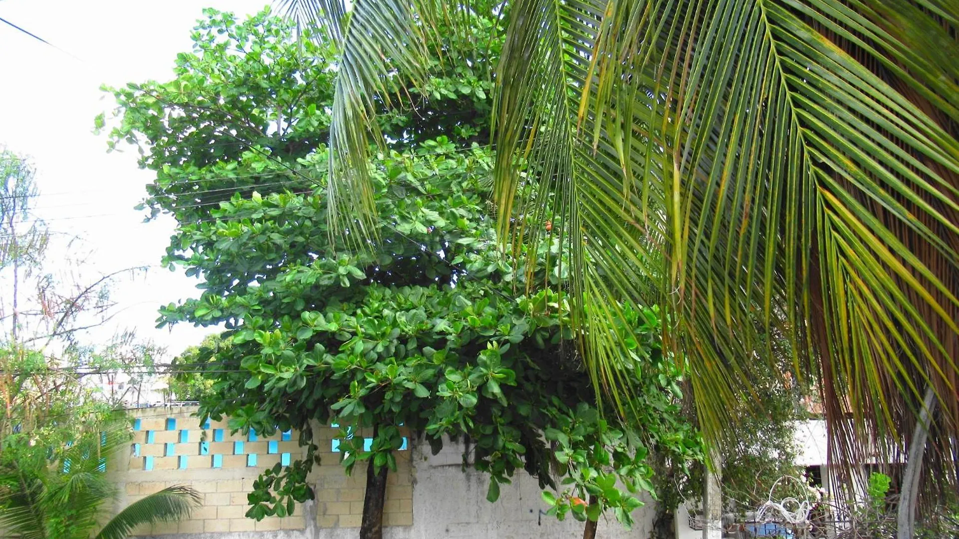 דירות קנקון Cocos 0*,  מקסיקו