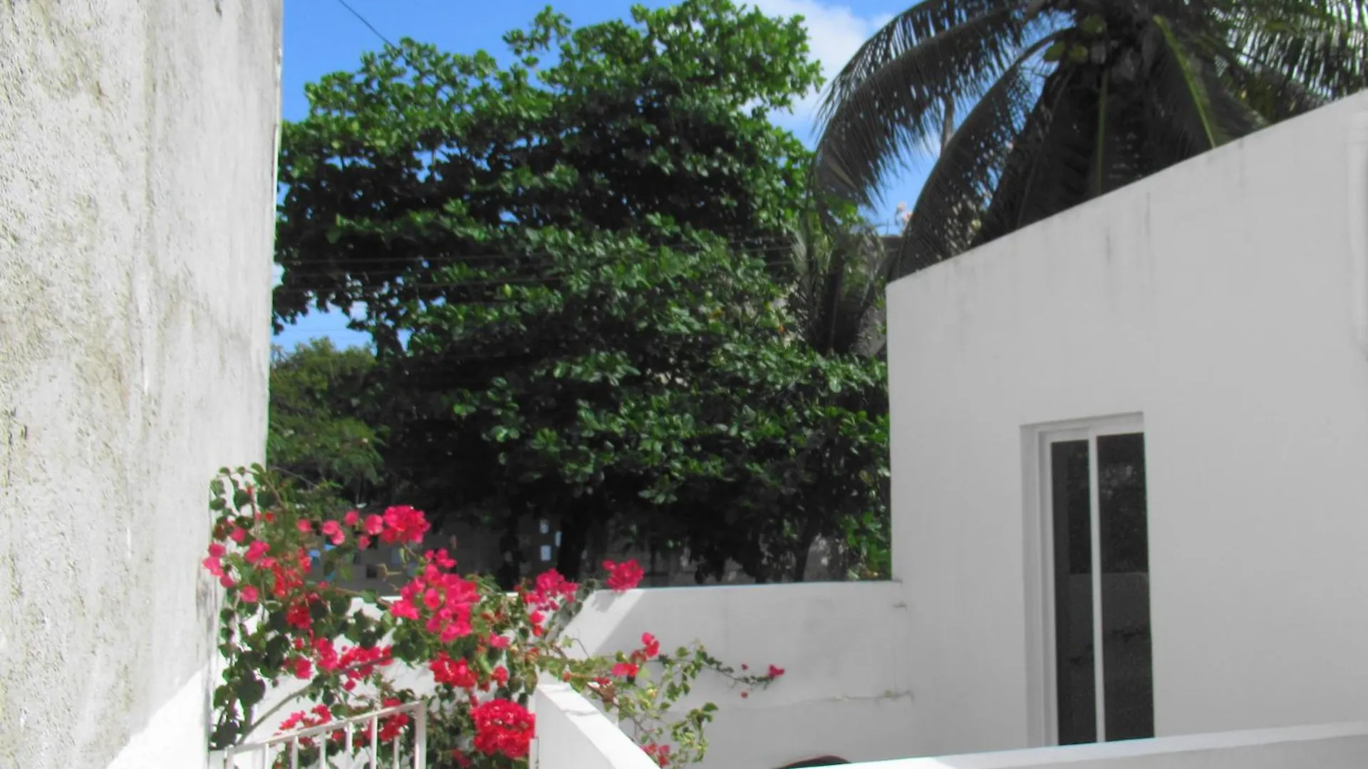 Cocos Apartman Cancún